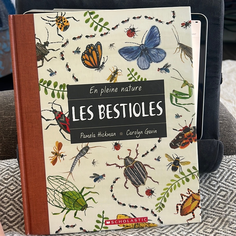 French BUGS Les Bestioles Nature insect educational book in🇫🇷 language NEW